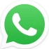 whatsapp button